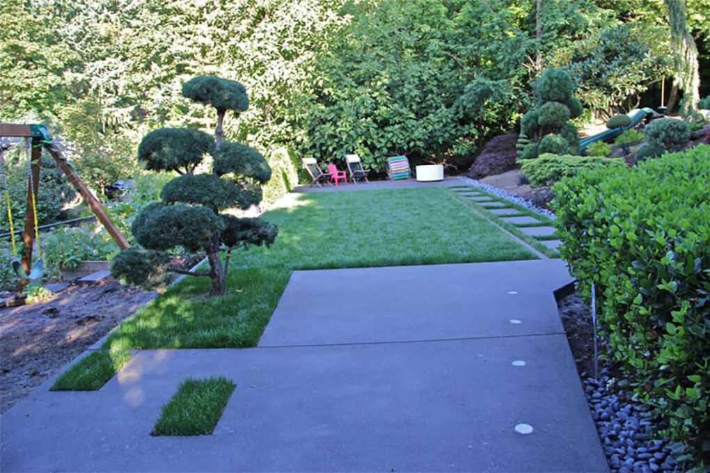 Backyard concrete edging